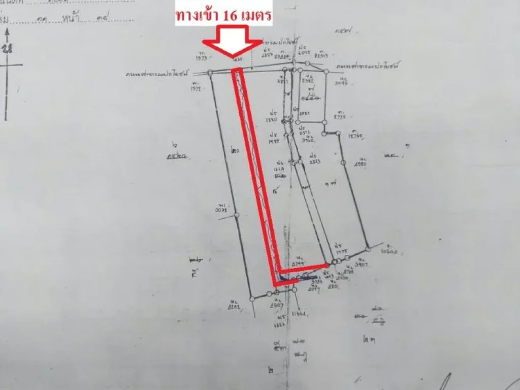 ขายที่ดิน64ไร่ ติดถนนบางบอน5ซอย5 เขตบางบอน กรุงเทพฯ ถนนทางเข้ากว้าง16เมตร ใกล้แนวถนนตัดใหม่เส้นกัลปพฤกษ์-พุทธสาค