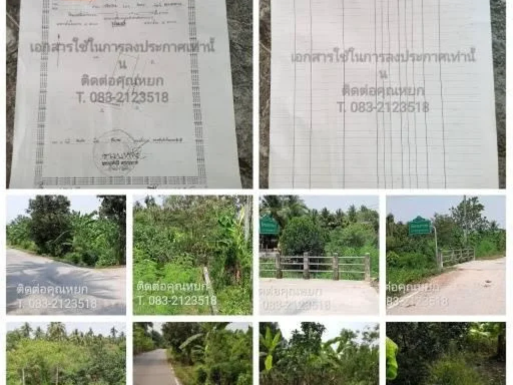 ขายที่ดินสวนส้มโอ ในอำเภออัมพวา สามารถเก็บผลผลิตได้เลย