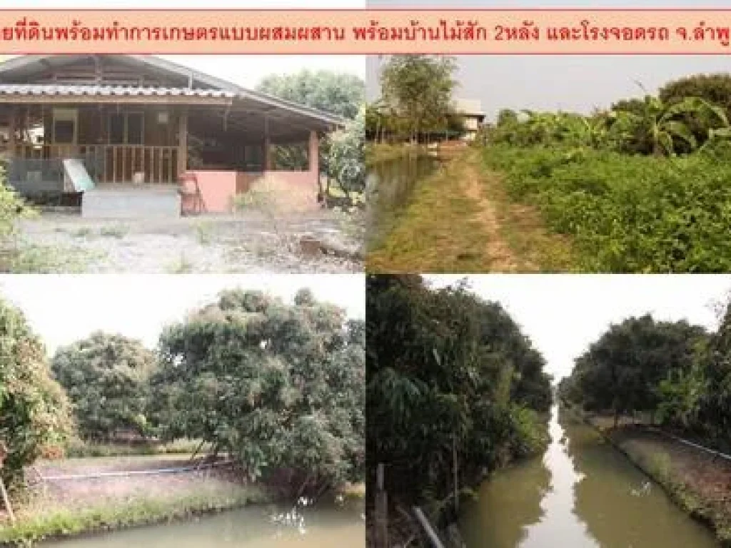 ขายที่ดินพร้อมทำการเกษตรแบบผสมผสาน พร้อมบ้านไม้สัก 2หลัง และโรงจอดรถ จลำพูน