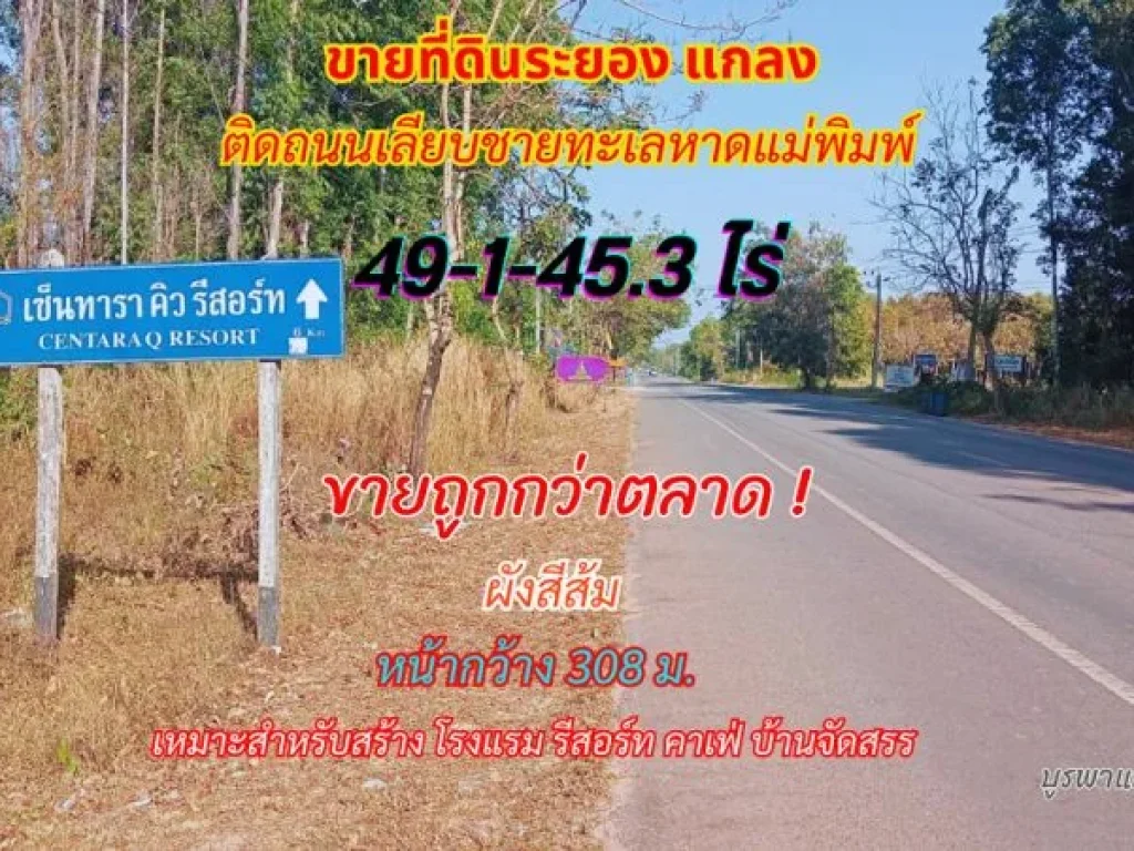 ขายที่ดินระยอง แกลง 49-1-453 ไร่ ติดถนนเลียบชายหาดทะเลหาดแม