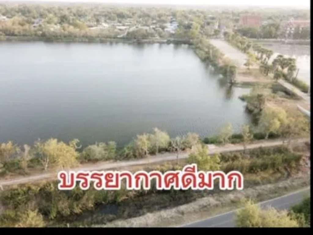 ขายบ้านเดี่ยวราคาดีวัสดุเกรดพรีเมี่ยมทั้งหลัง บนพื้นที่ 258