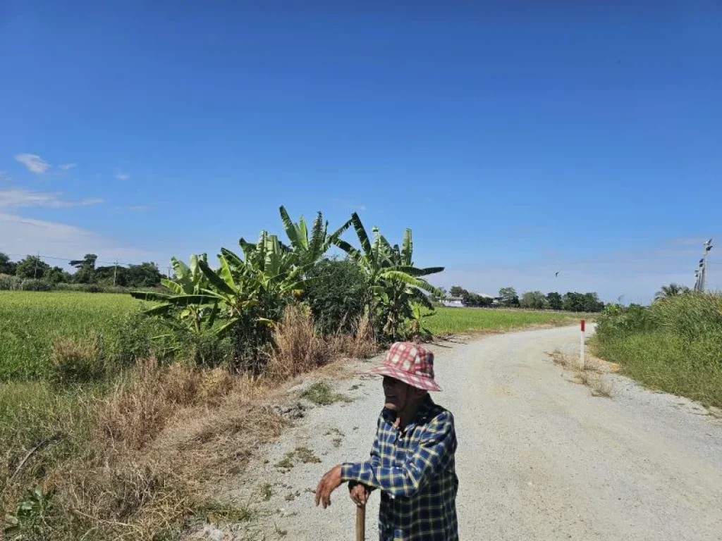 ขายที่ดิน 4 ไร่ ถนน ร่วมพัฒนา เขตหนองจอก กรุงเทพ