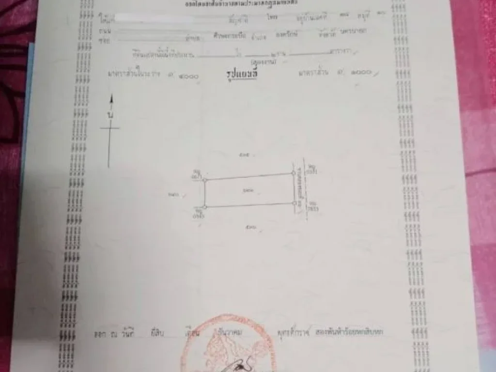 ขายที่ดิน 1 ไร่ พร้อมที่งอกริมตลิ่ง ตองครักษ์