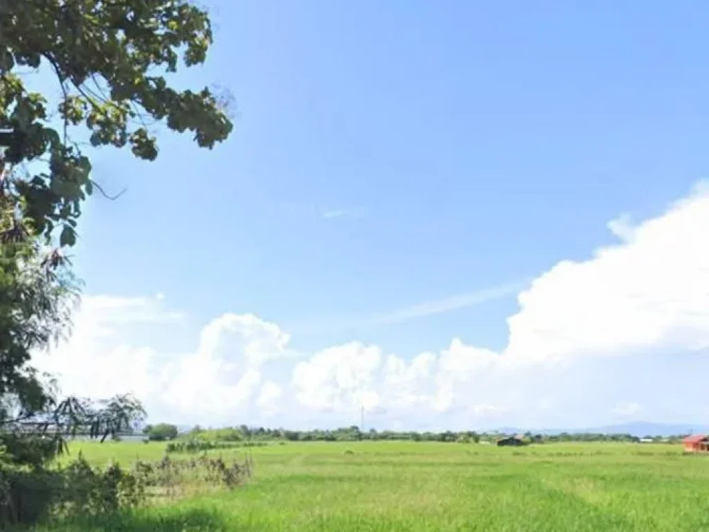 ที่นาแปลงสวย วิวสวย ใกล้ถนนสายหลัก อสูงเม่น แพร่