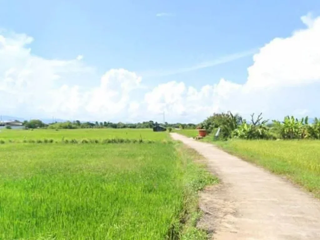 ที่นาแปลงสวย วิวสวย ใกล้ถนนสายหลัก อสูงเม่น แพร่