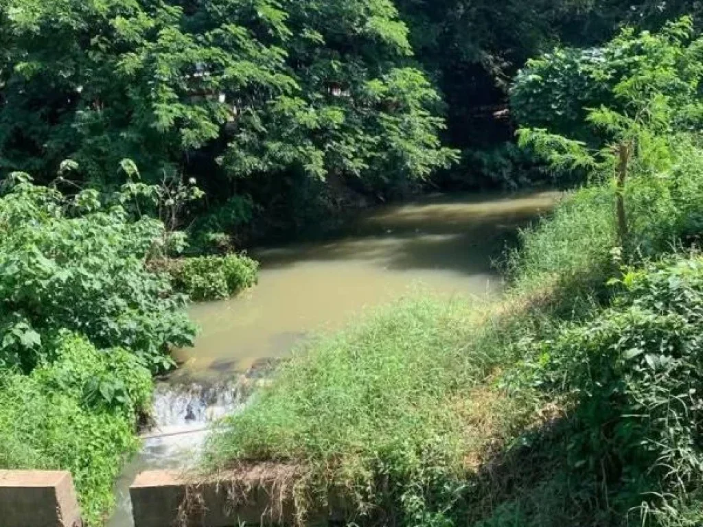 ที่นาแปลงสวย วิวสวย ใกล้ถนนสายหลัก อสูงเม่น แพร่