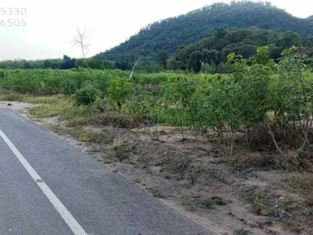 ขายที่ดิน บ้านไร่ อุทัยธานี 50ไร่ ติดภูเขา วิวเขาสวย