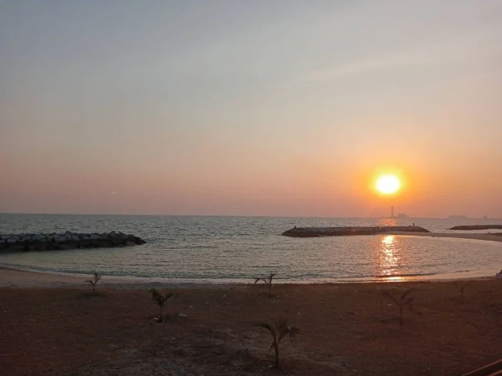 ขายที่ดินระยอง หน้าชายหาดพีเอ็มวาย 3ไร่ ติดหน้าชายหาด