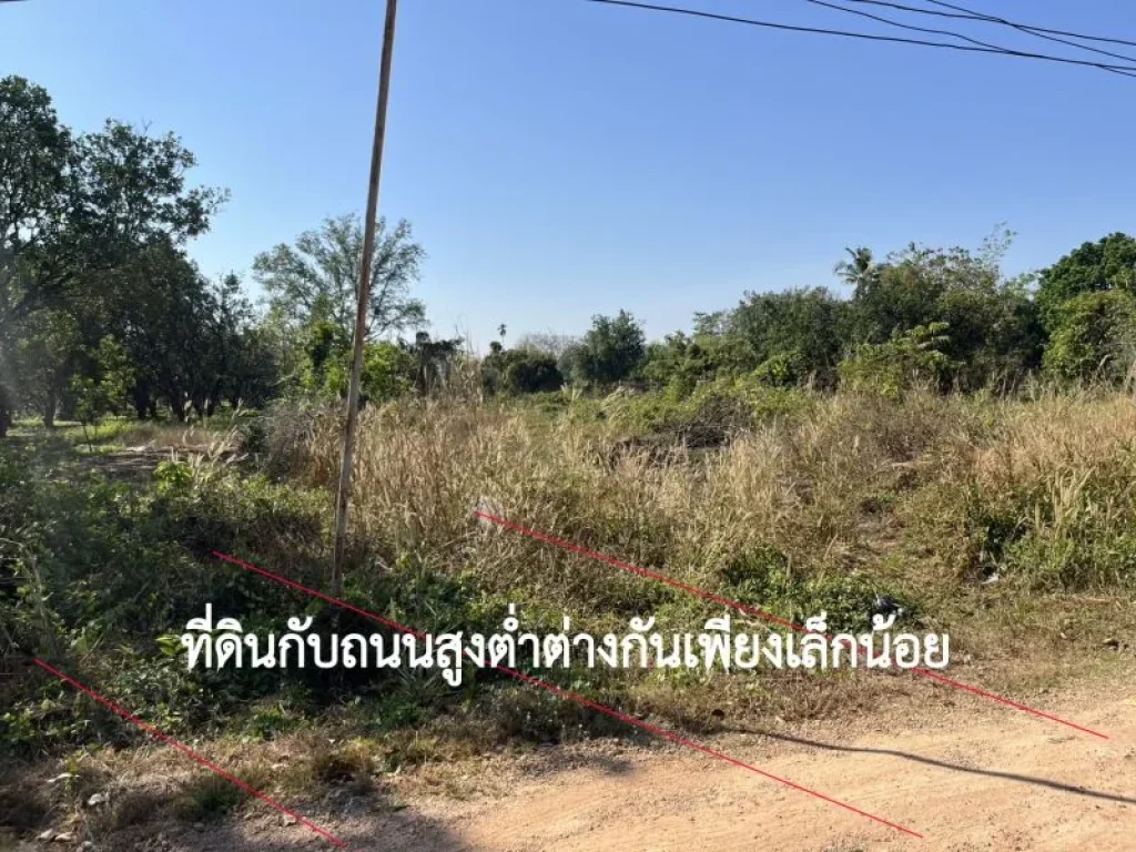 ขายที่ดิน 313 ตรว มีโฉนด เห็นผาหินแนวเขาใหญ่ มีไฟฟ้า