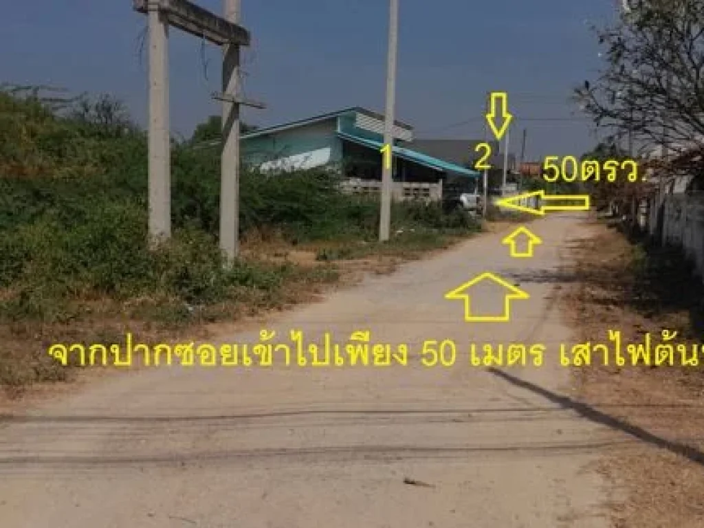 ขายที่ดิน ใกล้ 7-11 ทำเลหมู่บ้านใกล้ชะอำหัวหิน 50 ตรว