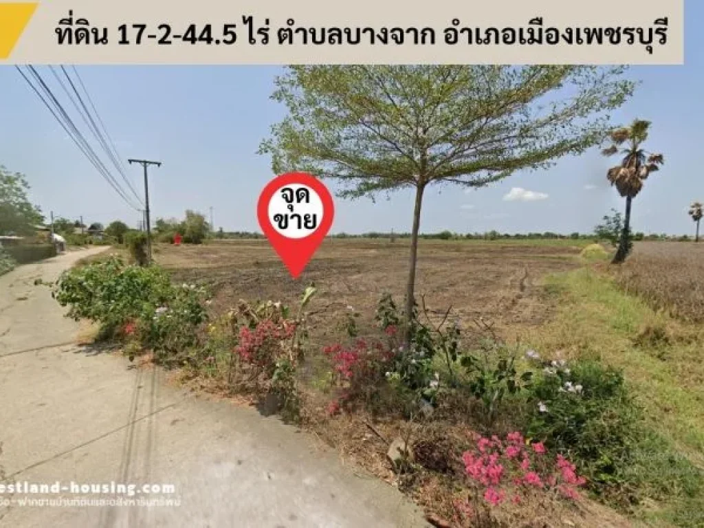 ขายที่ดิน 17-2-445 ไร่ ตำบลบางจาก อำเภอเมืองเพชรบุรี