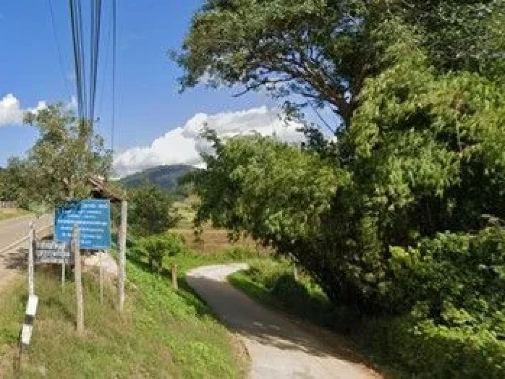 ขายที่ดิน 1 ไร่ เปียงหลวง เวียงแหง เชียงใหม่