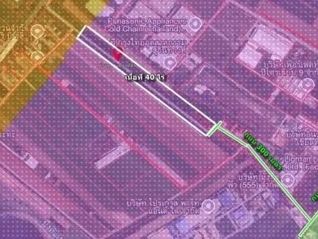 ขายที่ดินEEC 40 ไร่ผังที่ดินม่วงจุดสีขาวเหมาะสร้างโรงงานทุกป