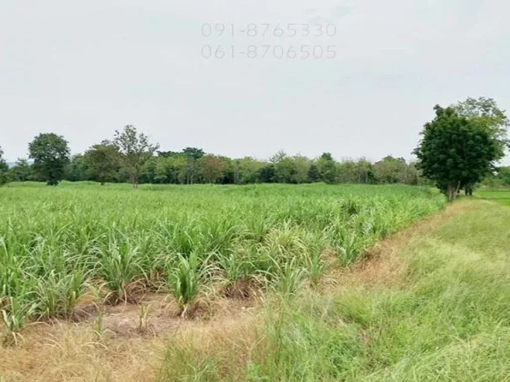 ขายที่ดินเกือบ 34ไร่ ชัยนาท ติดถนนลาดยาง ใกล้ถนนสาย3211