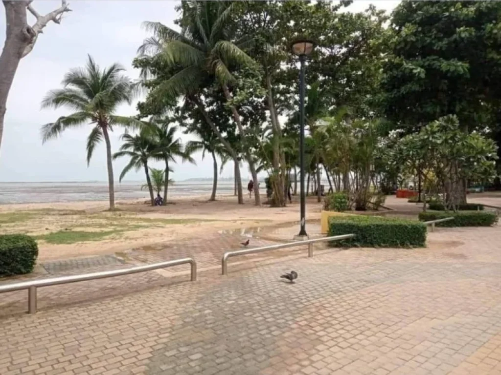 Land For Sale Pattaya ขายที่ดินถมแล้ว เนื้อที่ 15 ไร่