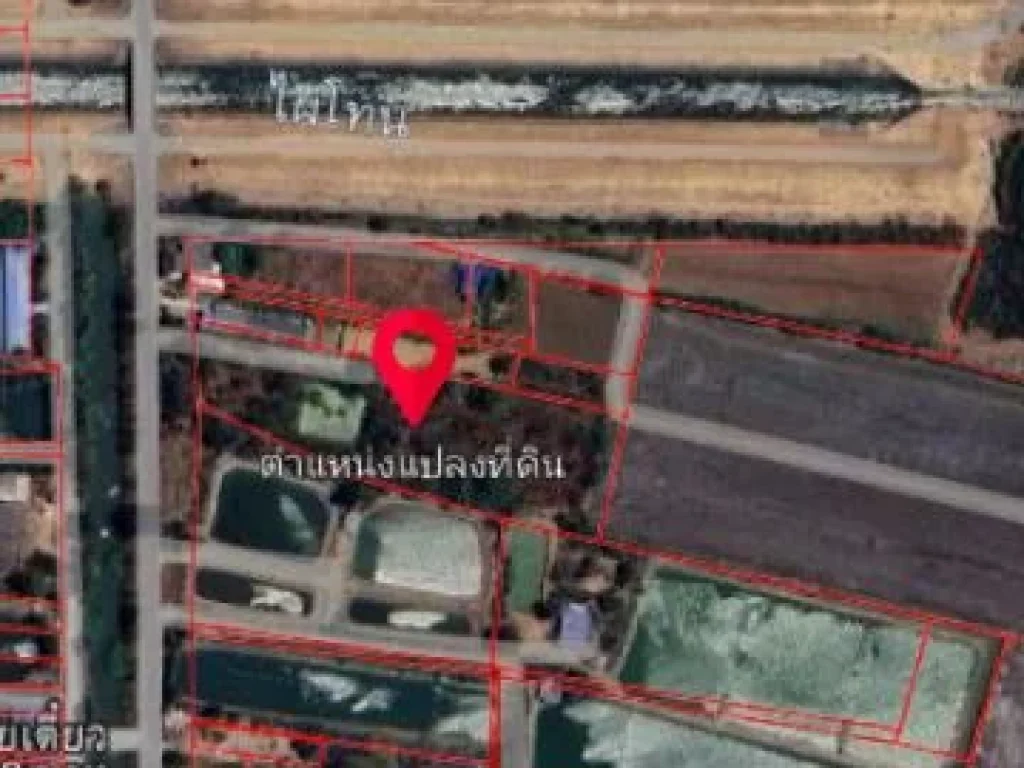 ที่ดิน จังหวัด นครปฐม กำแพงแสน ต้นสำโรงพัฒนา