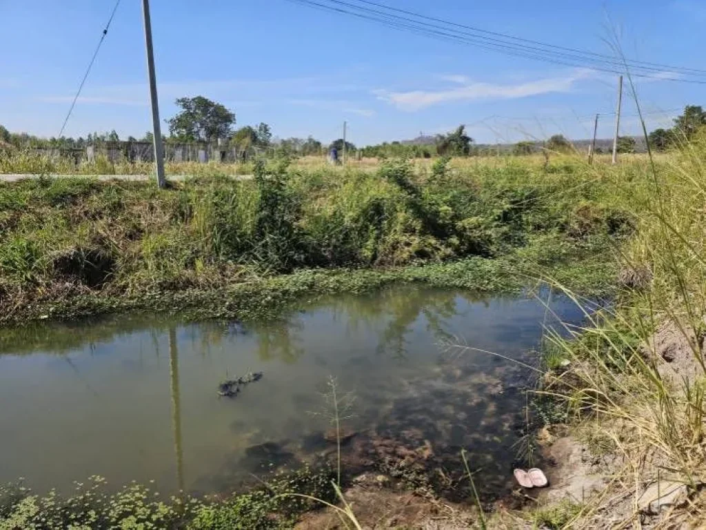 ขายที่ดินติดน้ำติดถนนคอนกรีต ชำผักแพว อำเภอแก่งคอย สระบุรี