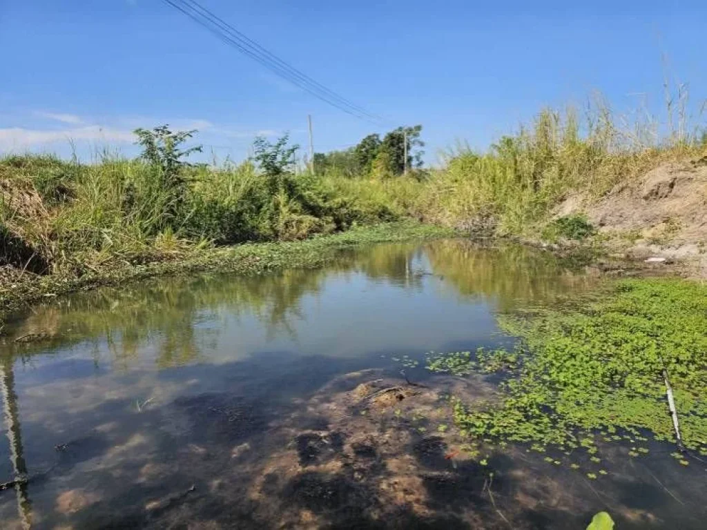 ขายที่ดินติดน้ำติดถนนคอนกรีต ชำผักแพว อำเภอแก่งคอย สระบุรี