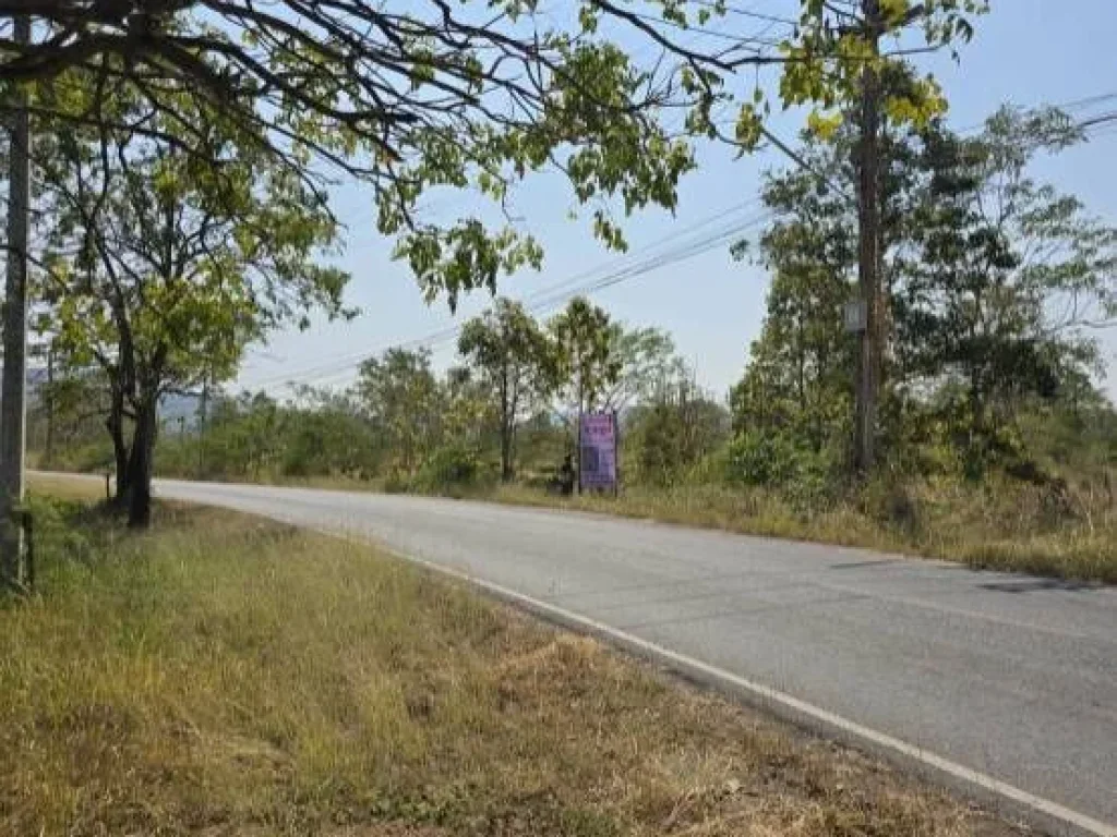 ขายที่ดินติดน้ำติดถนนคอนกรีต ชำผักแพว อำเภอแก่งคอย สระบุรี