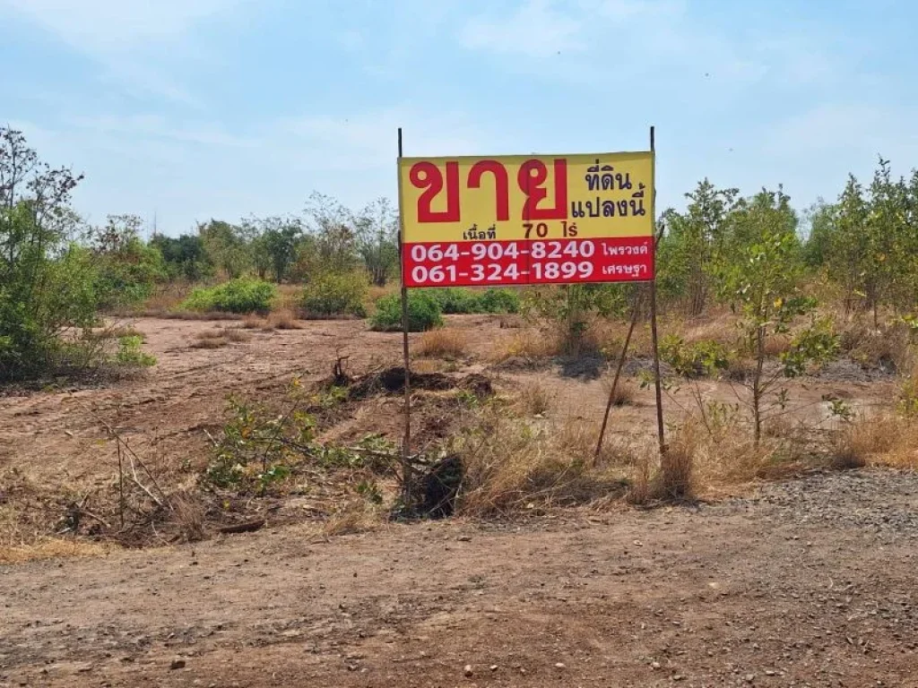 ที่ดินเปล่าแปลงใหญ่ 70 ไร่ ตหนองบัวตะเกียด ด่านขุนทด