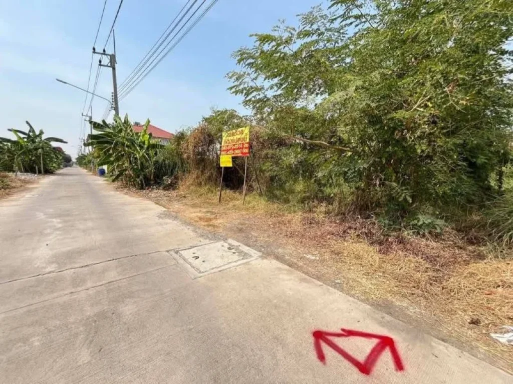 ขายด่วนที่ดิน 100 ตรวซอยบงกช45 คลองหลวง จปทุมธานี