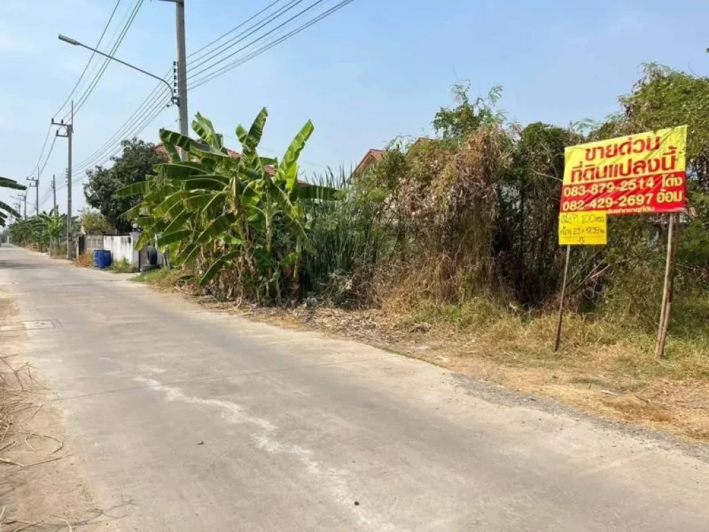 ขายด่วนที่ดิน 100 ตรวซอยบงกช45 คลองหลวง จปทุมธานี