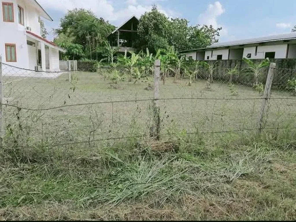 ขายที่ดินกลางเมืองเชียงใหม่ห่างถนนมหิดลเพียง 200เมตร