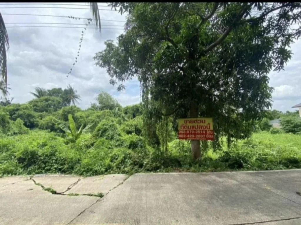 ขายด่วนที่ดิน 150 ตรว ซอยบางกร่าง45 เมืองนนทบุรี จนนทบุรี