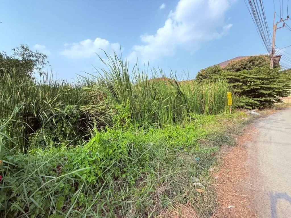 ขายด่วนที่ดิน 2 ไร่ 30 ตรว ซอยสันติธรรม2 อบางใหญ่ จนนทบุรี