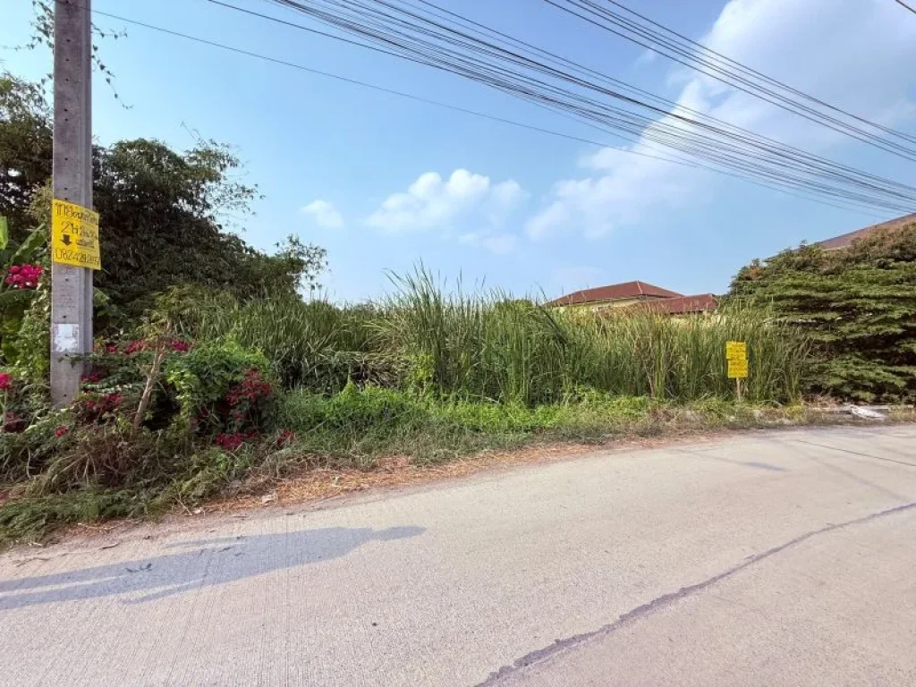 ขายด่วนที่ดิน 2 ไร่ 30 ตรว ซอยสันติธรรม2 อบางใหญ่ จนนทบุรี