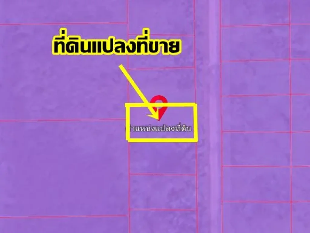 ขายที่ดินเปล่า ซอยรังสิตการ์เด้น ใกล้สหการประมูล รังสิต-คลอง8