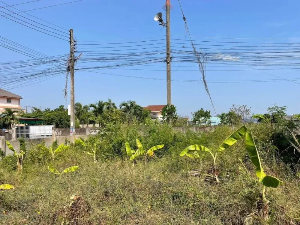 ขายที่ดินเชิงเนินติดถนน2ด้านเนื้อที่ 44 ตรวพัฒนประเสริฐซอย4