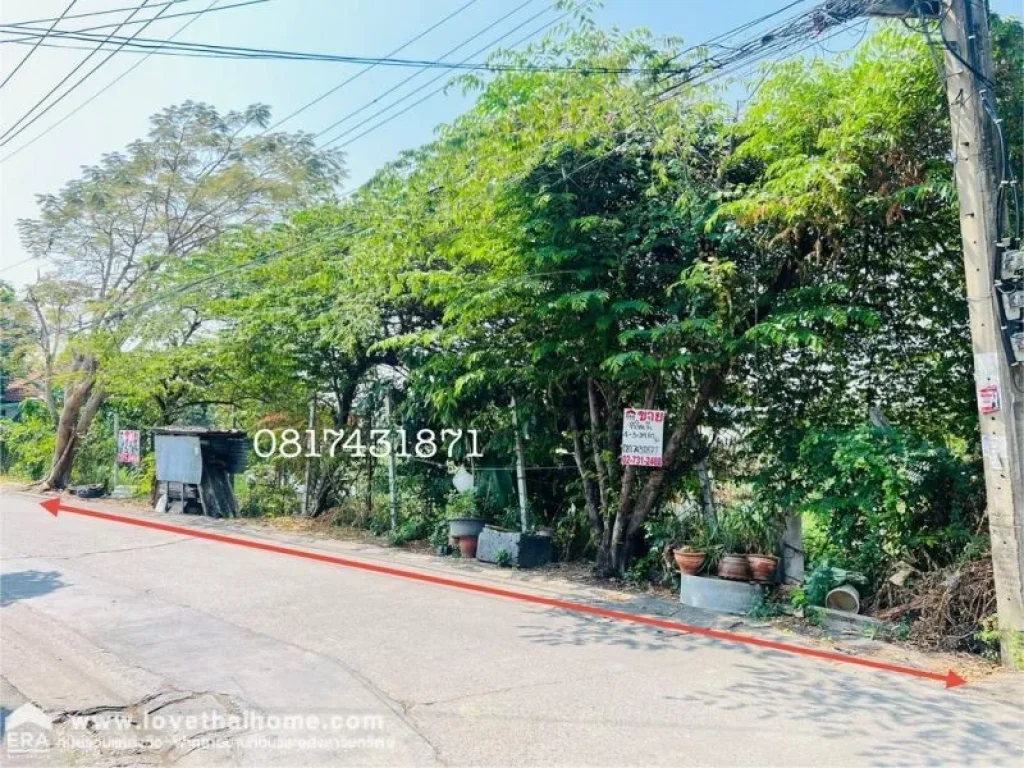 ขายที่ดิน ติดถนนซอยร่มโพธิ์ทอง2 บางกรวย-ไทรน้อย จนนทบุรี