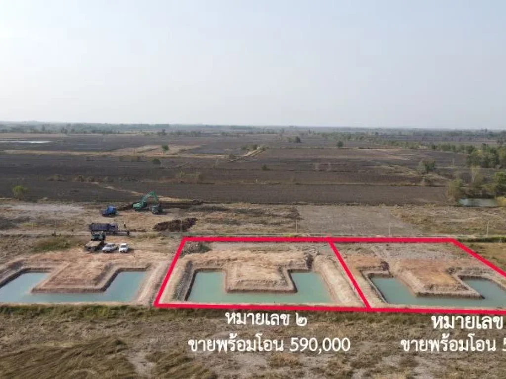 ขายที่ดิน 1 ไร่ มีโฉนด หลังโรงพยาบาลปากพลี ขายเพียง 590000