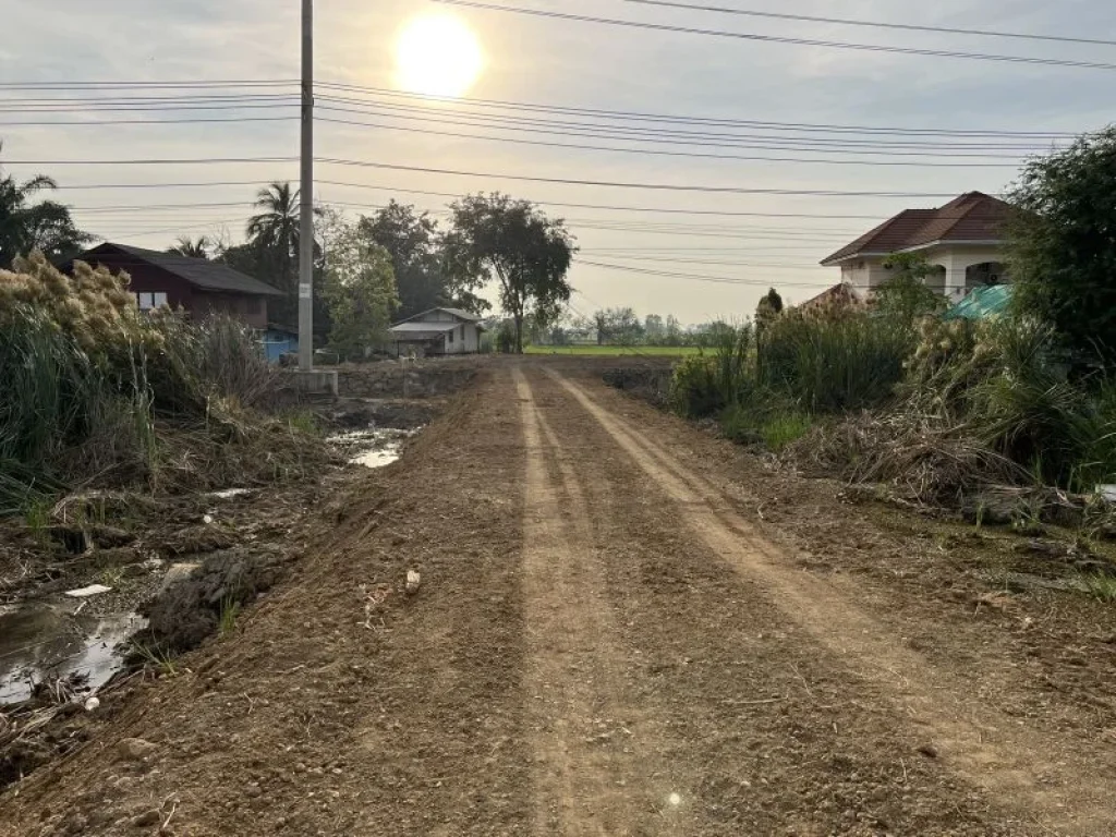 ขายที่ดินโรงหลวง ถมแล้ว จังหวัดพระนครศรีอยุธยา ขนาด 200