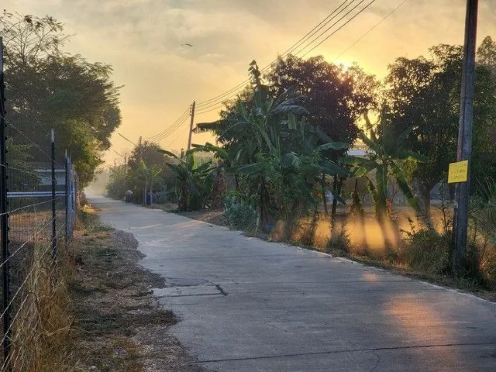 ขายด่วน ที่ดิน 200 ตรวซคลองสาม 1219 ใกล้วัดพระธรรมกาย