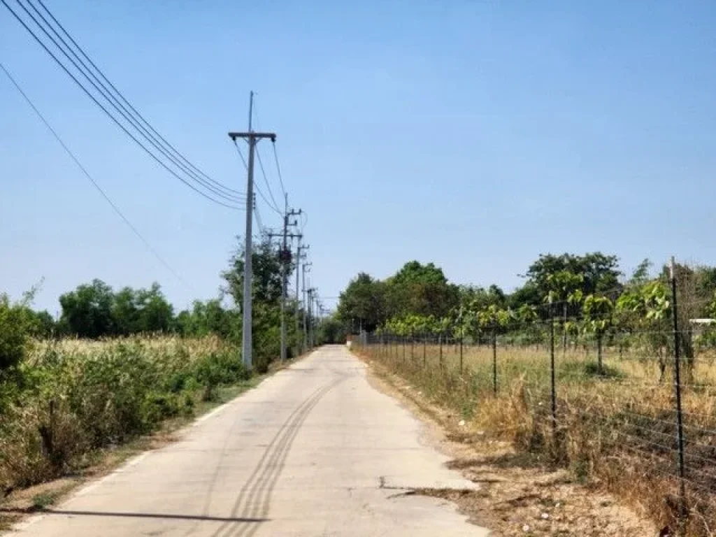 ขายด่วน ที่ดิน 200 ตรวซคลองสาม 1219 ใกล้วัดพระธรรมกาย