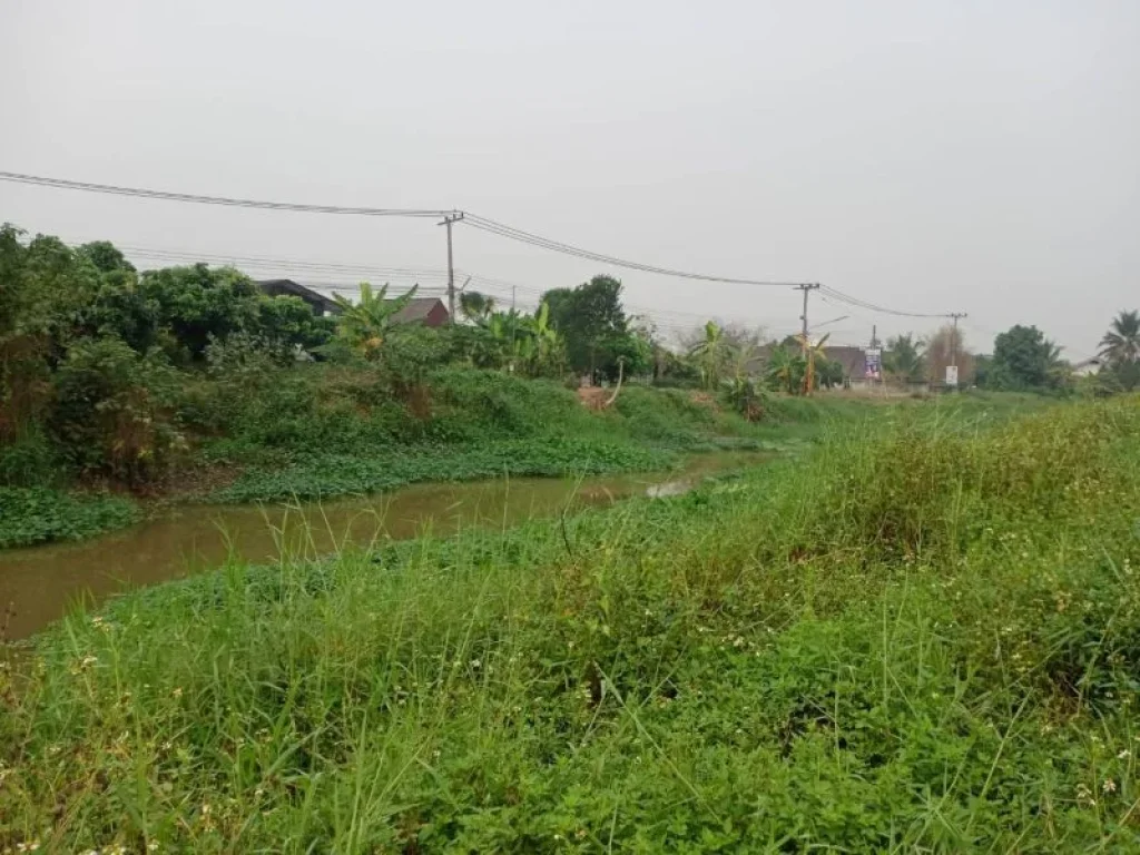 ขายที่ดินหน้าติดถนนหลังติดน้ำคลองชลประทานสารภีค้าขายได้