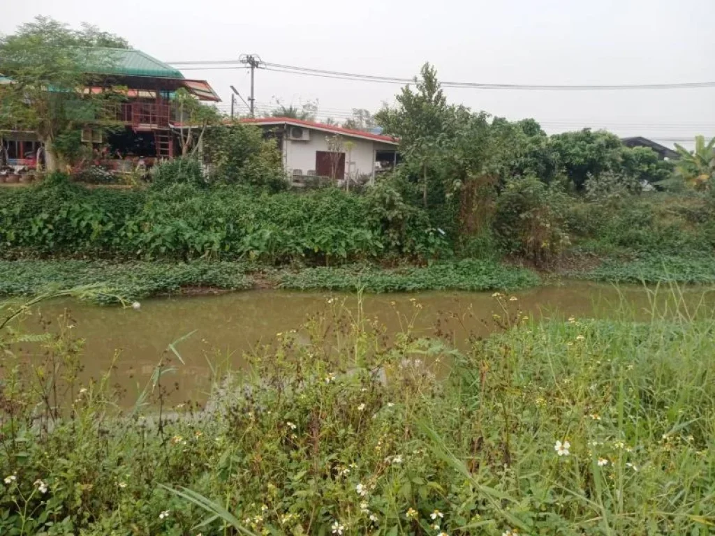 ขายที่ดินหน้าติดถนนหลังติดน้ำคลองชลประทานสารภีค้าขายได้