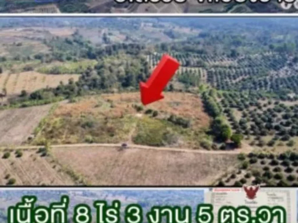 ขายที่ดิน อแม่สรวย จเชียงราย 8-3-5 ไร่ เพียง 25 ล้าน