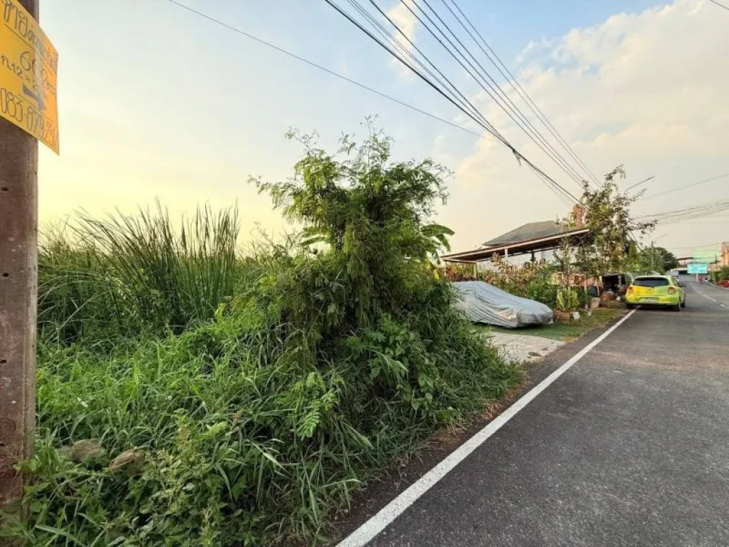 ขายถูกที่สุดที่ดินลาดปลาดุก 60 ตารางวาติดถนนลาดยางสาธารณะซอย