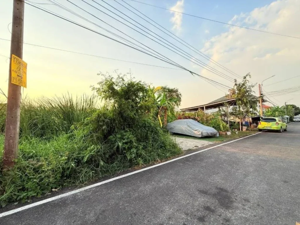 ขายถูกที่สุดที่ดินลาดปลาดุก 60 ตารางวาติดถนนลาดยางสาธารณะซอย