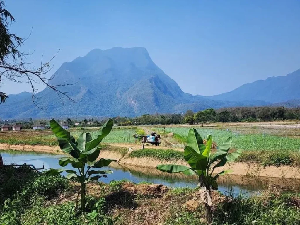 ขายที่ดินวิวดอยหลวงวิวเลตลำคลองโฉนดพร้อมโอนราคาถูก