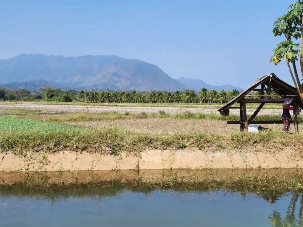 ขายที่ดินวิวดอยหลวงวิวเลตลำคลองโฉนดพร้อมโอนราคาถูก