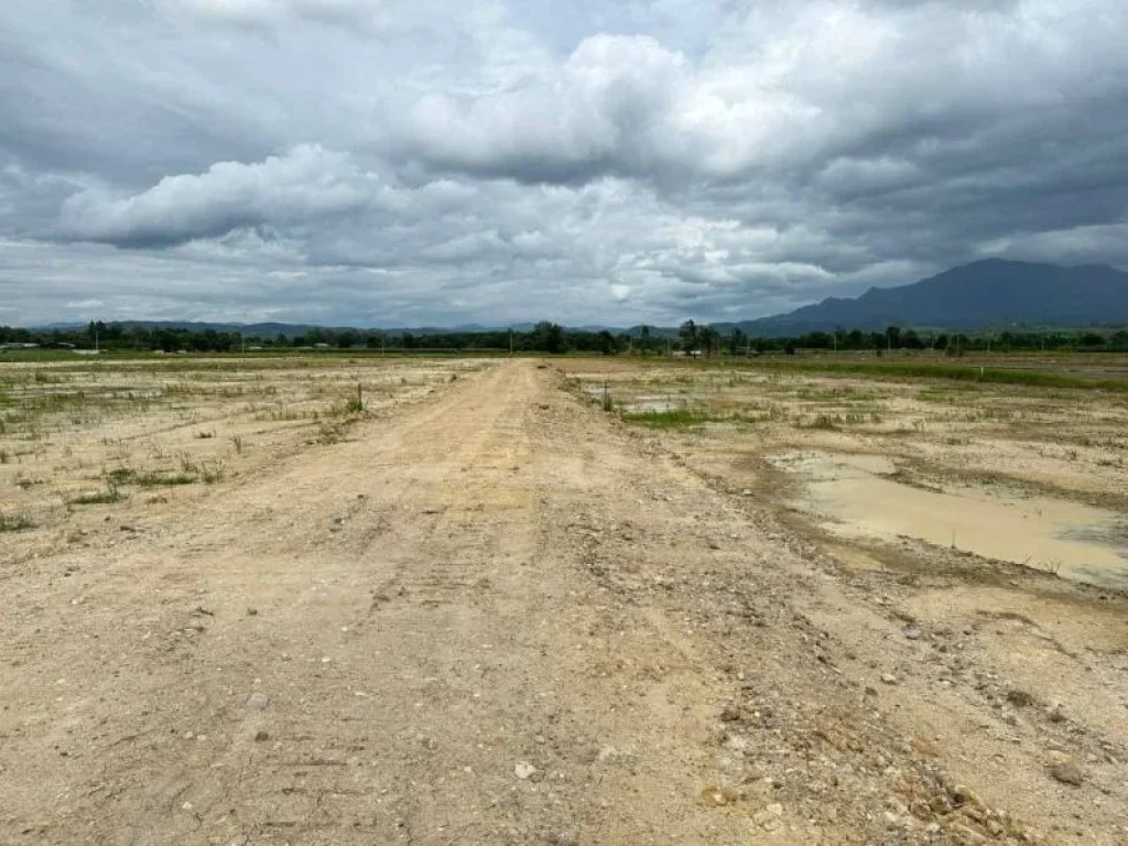 ขายถูกมาก ที่ดินแปลงสวย ติดถนน ทำเลดี 10 ไร่ 73 ตรว