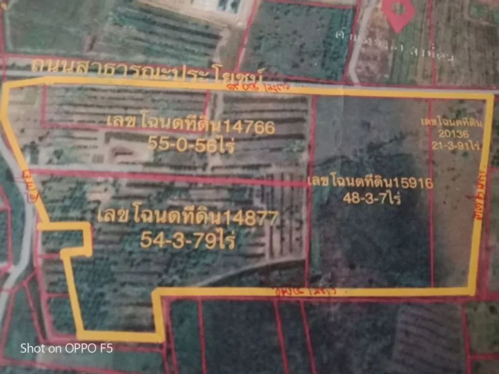 ขายที่ดิน180ไร่ใกล้โรงงานอุตสาหกรรมและแหล่งเพาะปลูกปาล์มน้ำม