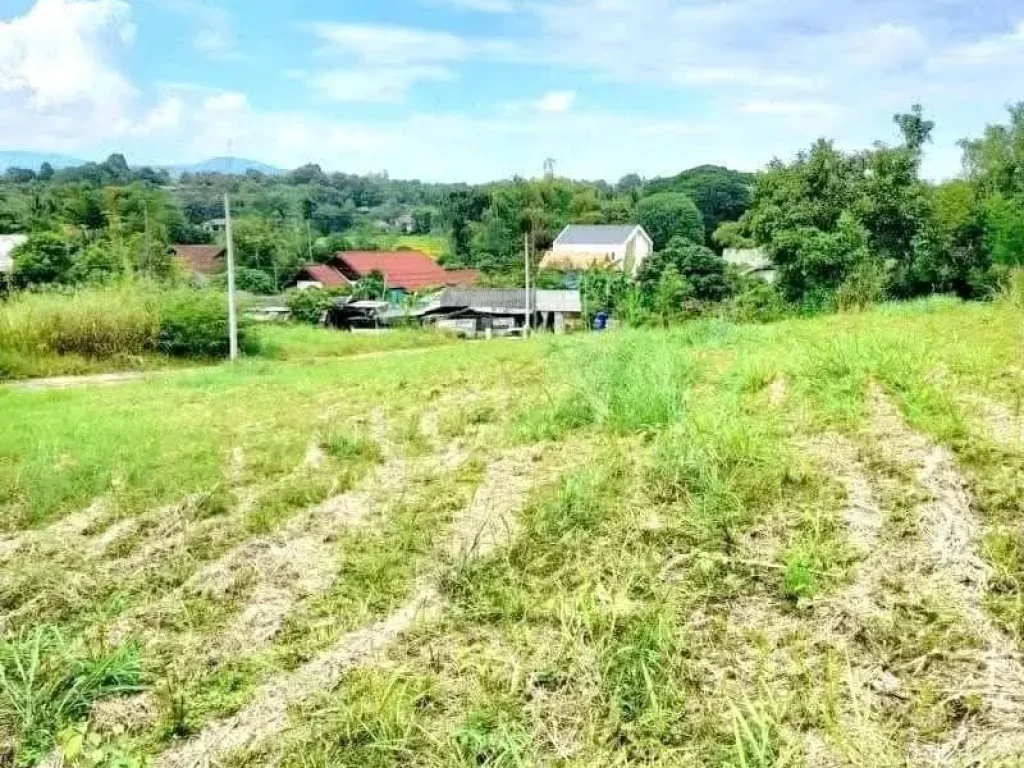 ขายที่ดินในโครงการติดถนนสองด้านตำบลแม่แรมแม่ริมพร้อมโอน