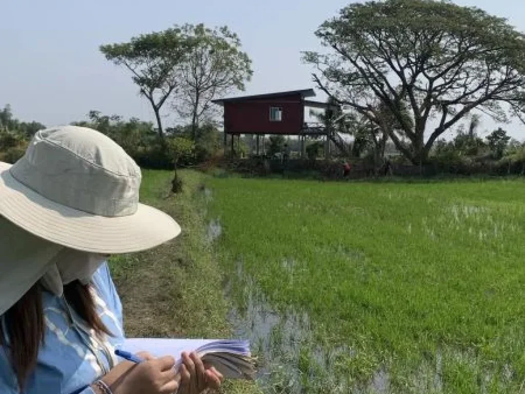 ขายที่ดิน บ้านดอนยานาง อยางตลาด จกาฬสินธุ์