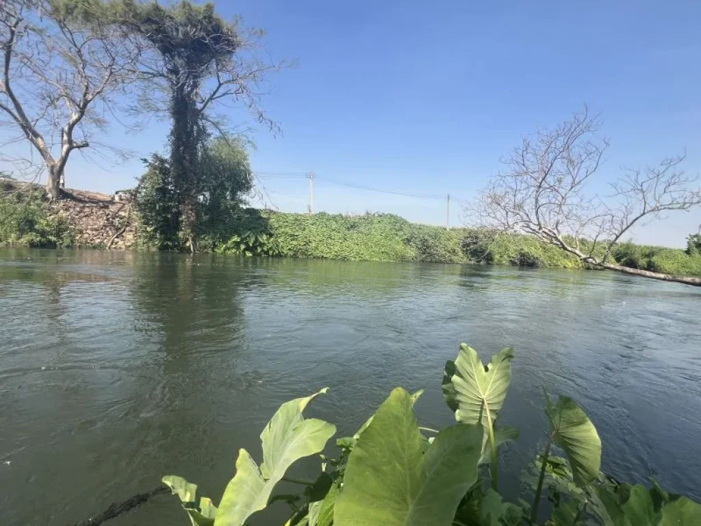 ที่ดินติดแม่น้ำเพชรบุรี แปลงเล็ๆ แก่งกระจาน โซนล่องเรือยาง