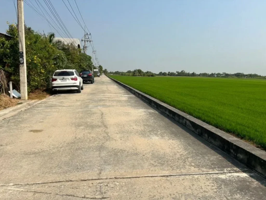 ขายที่ดิน 100 ตรว ถนน เรียบคลองเจ็ก ลาดหลุมแก้ว ปทุมธานี